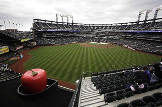 Illustration for article titled The 2009 New York Mets: A Season Of Failure